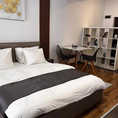 Central Studio Bucharest דירה בוקרשט