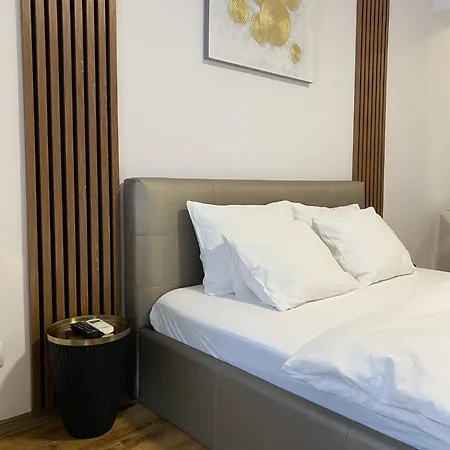 Central Studio Bucharest Boekarest